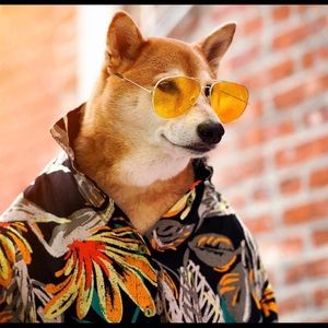 Meet your Posher, Jay